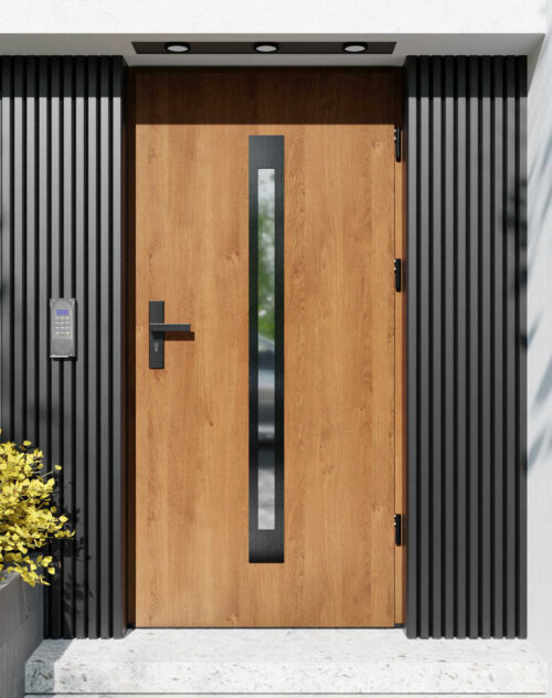 Drzwi zewnętrzne do domu z ościeżnicą aluminiową Otto 11 Noir w systemie Alu extra