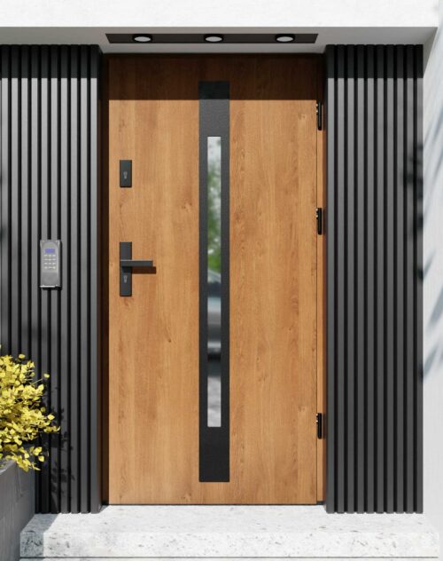Drzwi zewnętrzne do domu z ościeżnicą aluminiową Otto 31 Noir Matt w systemie Alu