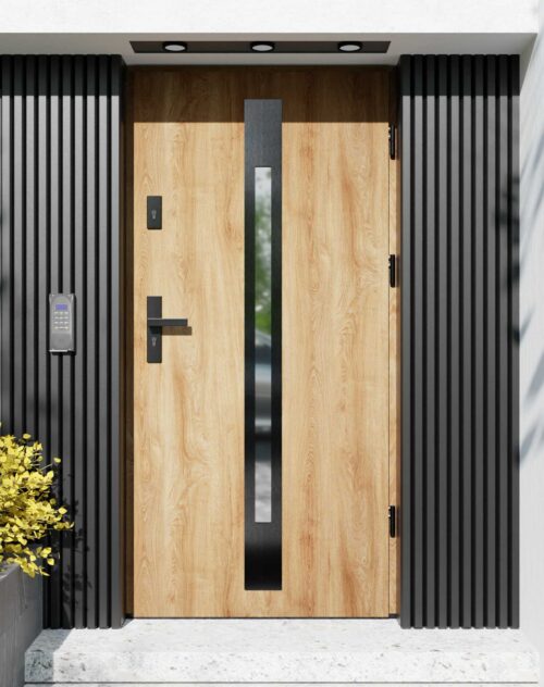 Drzwi zewnętrzne do domu z ościeżnicą aluminiową Otto 31 Noir w systemie Alu