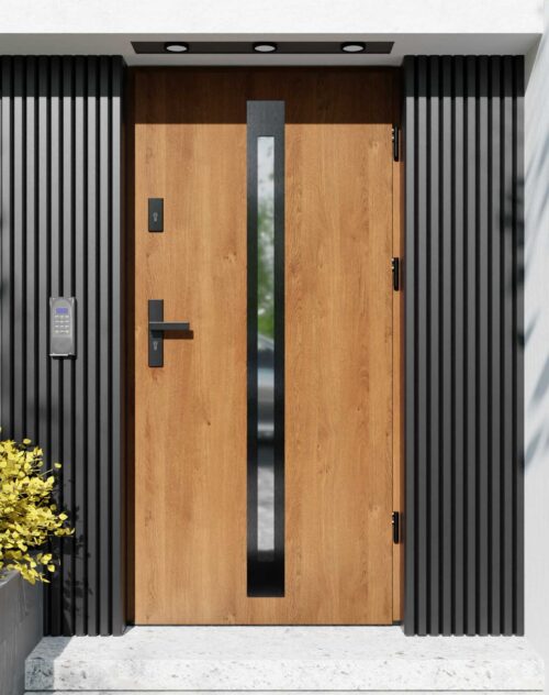Drzwi zewnętrzne do domu z ościeżnicą aluminiową Otto 34 Noir w systemie Alu
