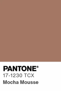 Kolor roku pantone mocha mousse Kolor roku pantone mocha mousse