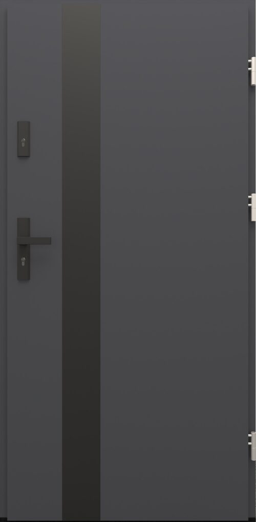 Drzwi zewnętrzne do domu Otto 42B Noir Matt