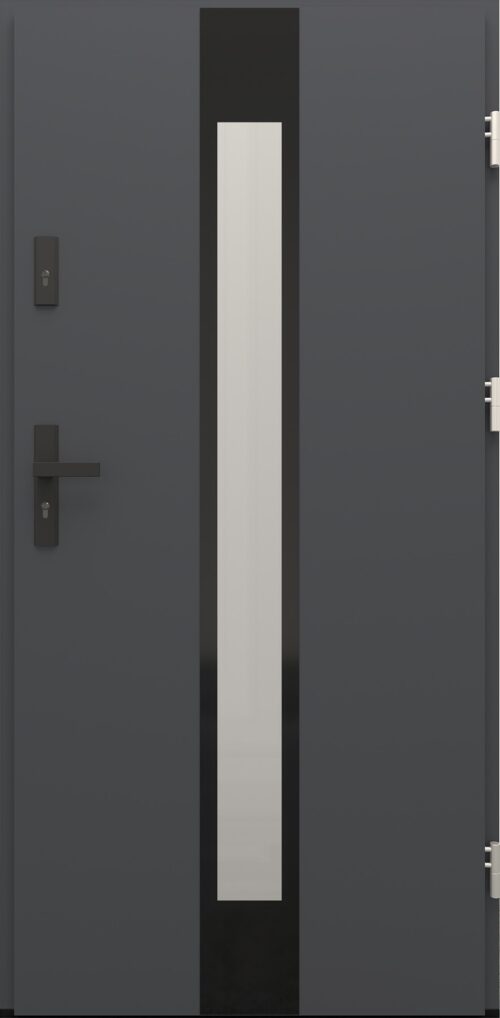 Drzwi zewnętrzne do domu Otto 35 Noir Glass