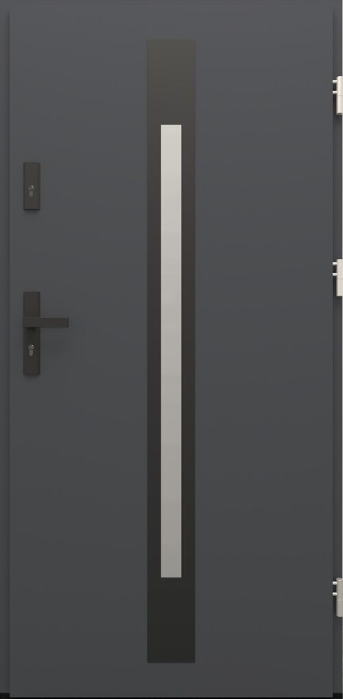 Drzwi zewnętrzne do domu Otto 31 Noir Matt