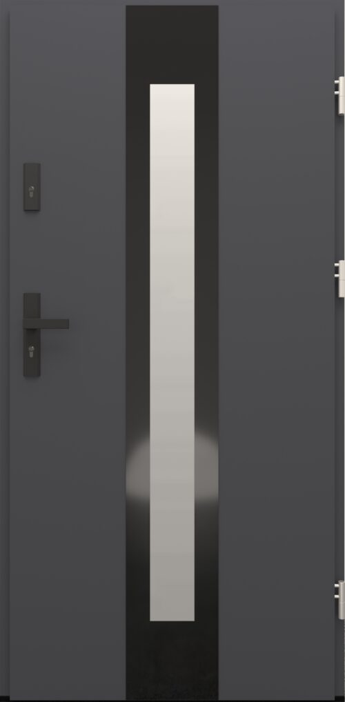 Drzwi zewnętrzne do domu Otto 05 Noir Glass