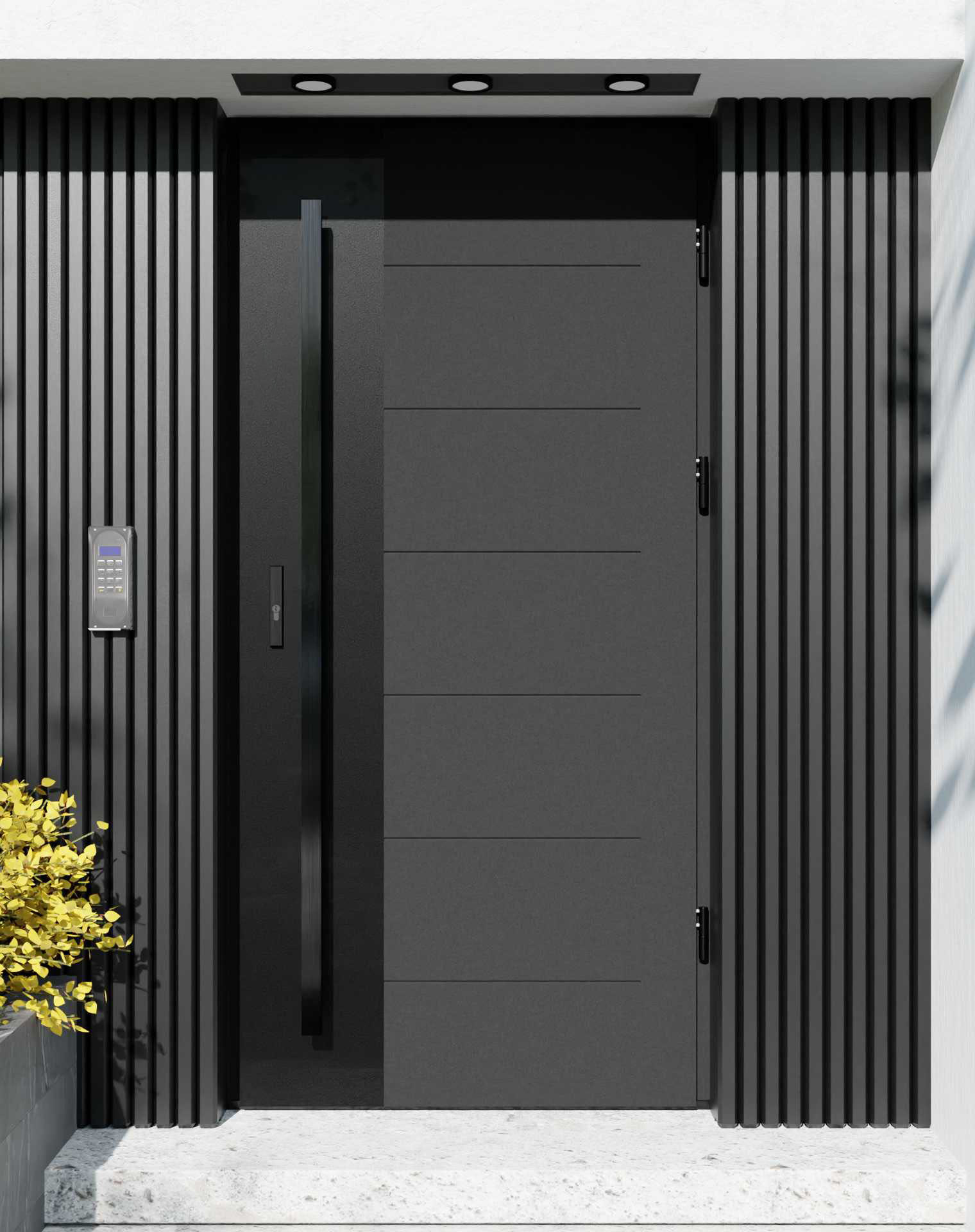 Drzwi zewnętrzne do domu z pochwytem i ościeżnicą drewnianą Libre 02 Noir Matt w systemie Wood extra