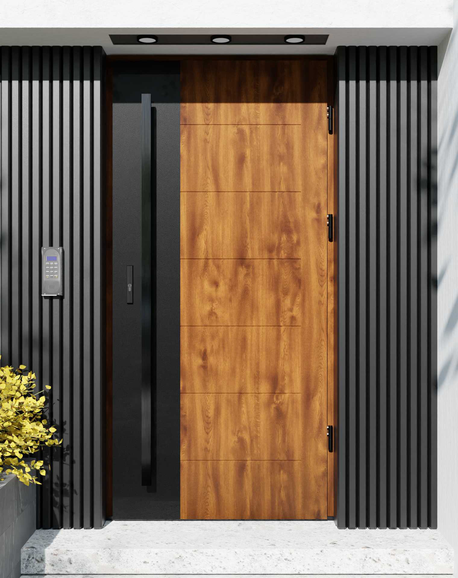 Drzwi zewnętrzne do domu z pochwytem i ościeżnicą drewnianą Libre 02 Noir Matt w systemie Wood extra