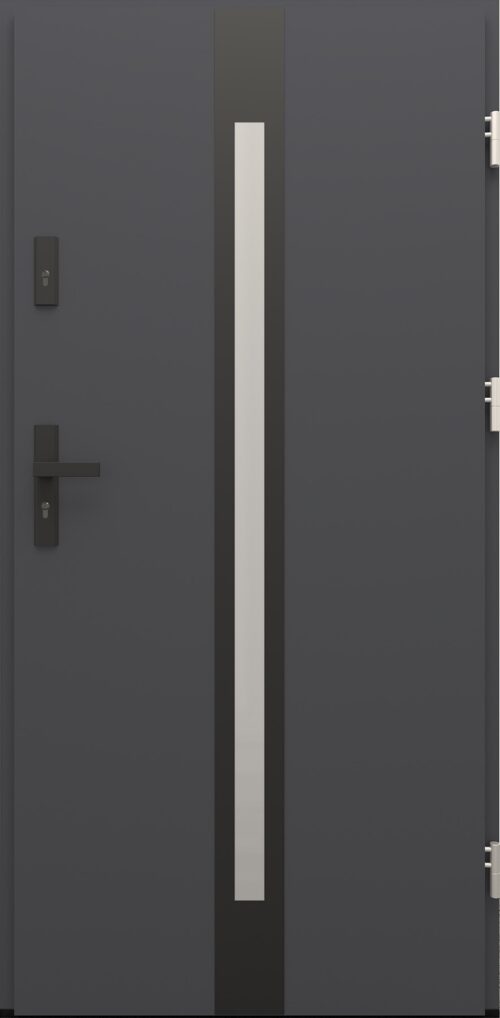 Drzwi zewnętrzne do domu Otto 12 Noir Matt