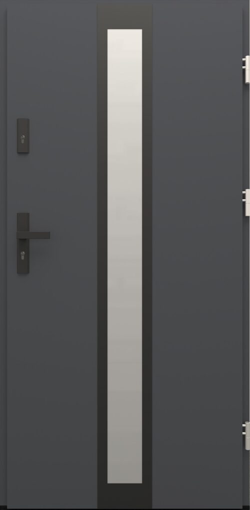 Drzwi zewnętrzne do domu Otto 33 Noir Matt