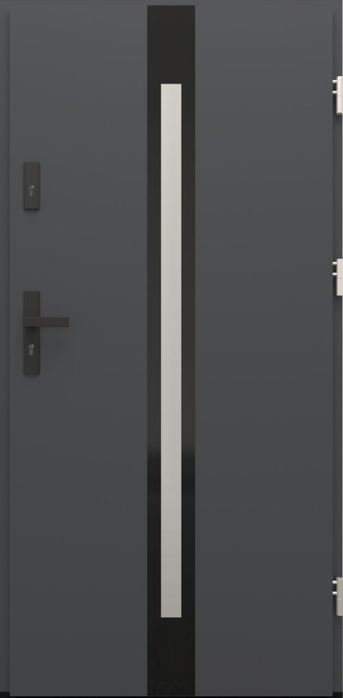 Drzwi zewnętrzne do domu Otto 12 Noir Glass