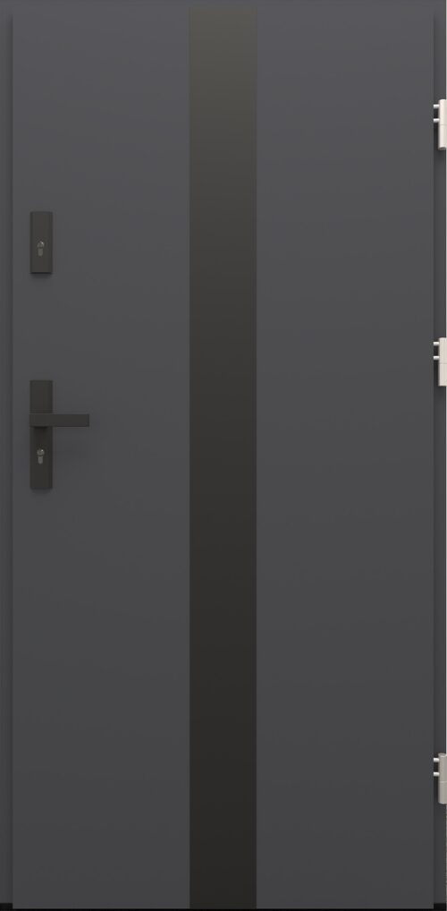 Drzwi zewnętrzne do domu Otto 42 Noir Matt