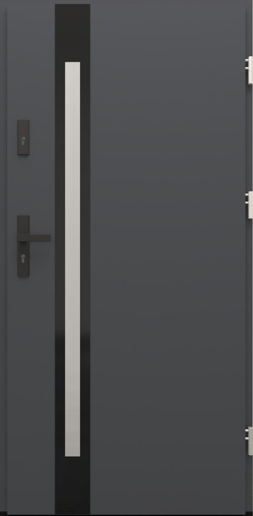 Drzwi zewnętrzne do domu Otto 12B Noir Glass