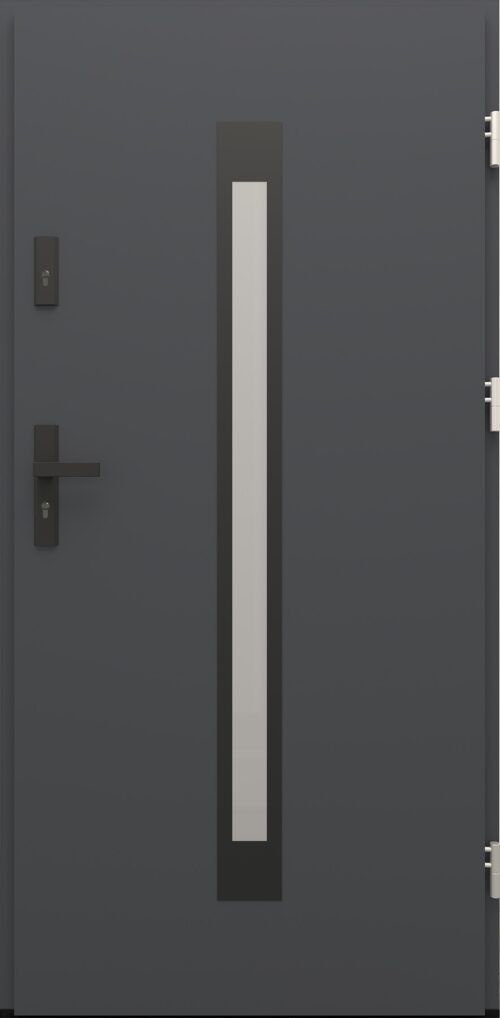 Drzwi zewnętrzne do domu Otto 11 Noir Matt