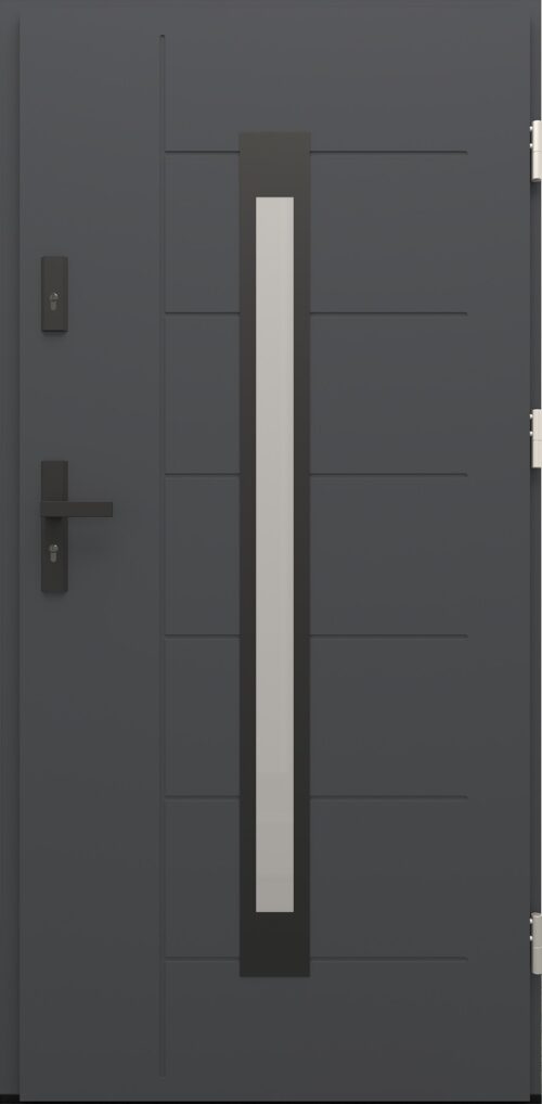 Drzwi zewnętrzne do domu Libre 11 Noir