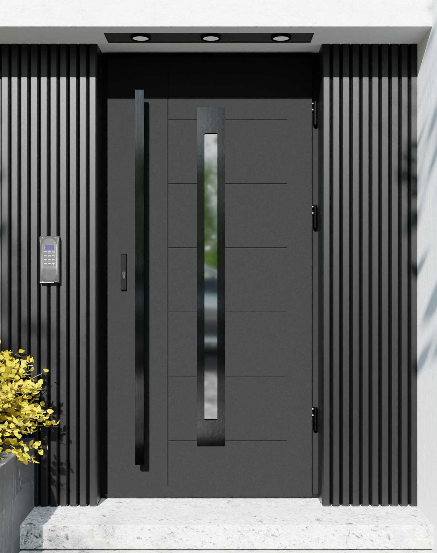 Drzwi zewnętrzne do domu z pochwytem i ościeżnicą drewnianą Libre 11 Noir w systemie Wood extra