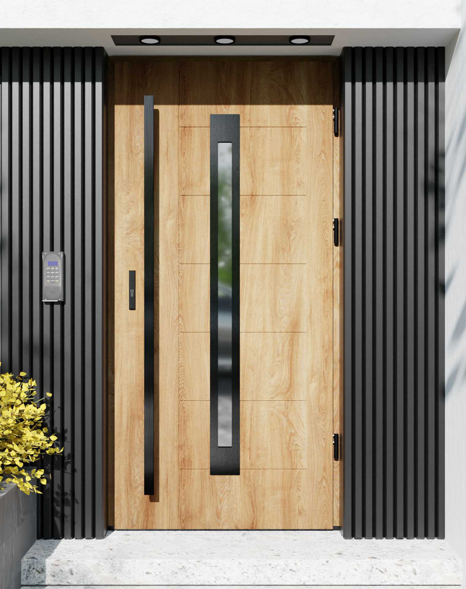 Drzwi zewnętrzne do domu z pochwytem i ościeżnicą drewnianą Libre 11 Noir w systemie Wood extra