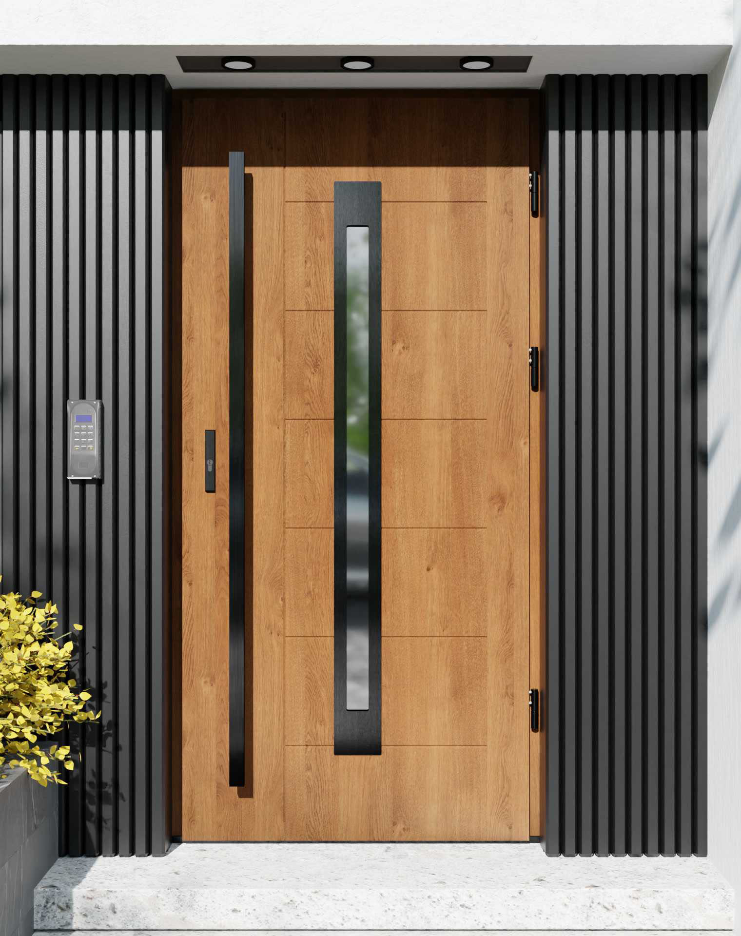 Drzwi zewnętrzne do domu z pochwytem i ościeżnicą drewnianą Libre 11 Noir w systemie Wood extra