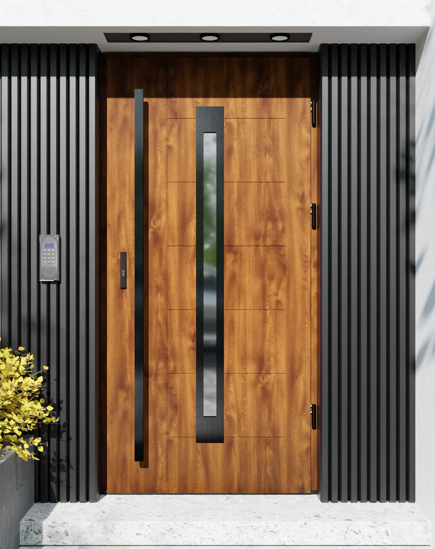 Drzwi zewnętrzne do domu z pochwytem i ościeżnicą drewnianą Libre 11 Noir w systemie Wood extra