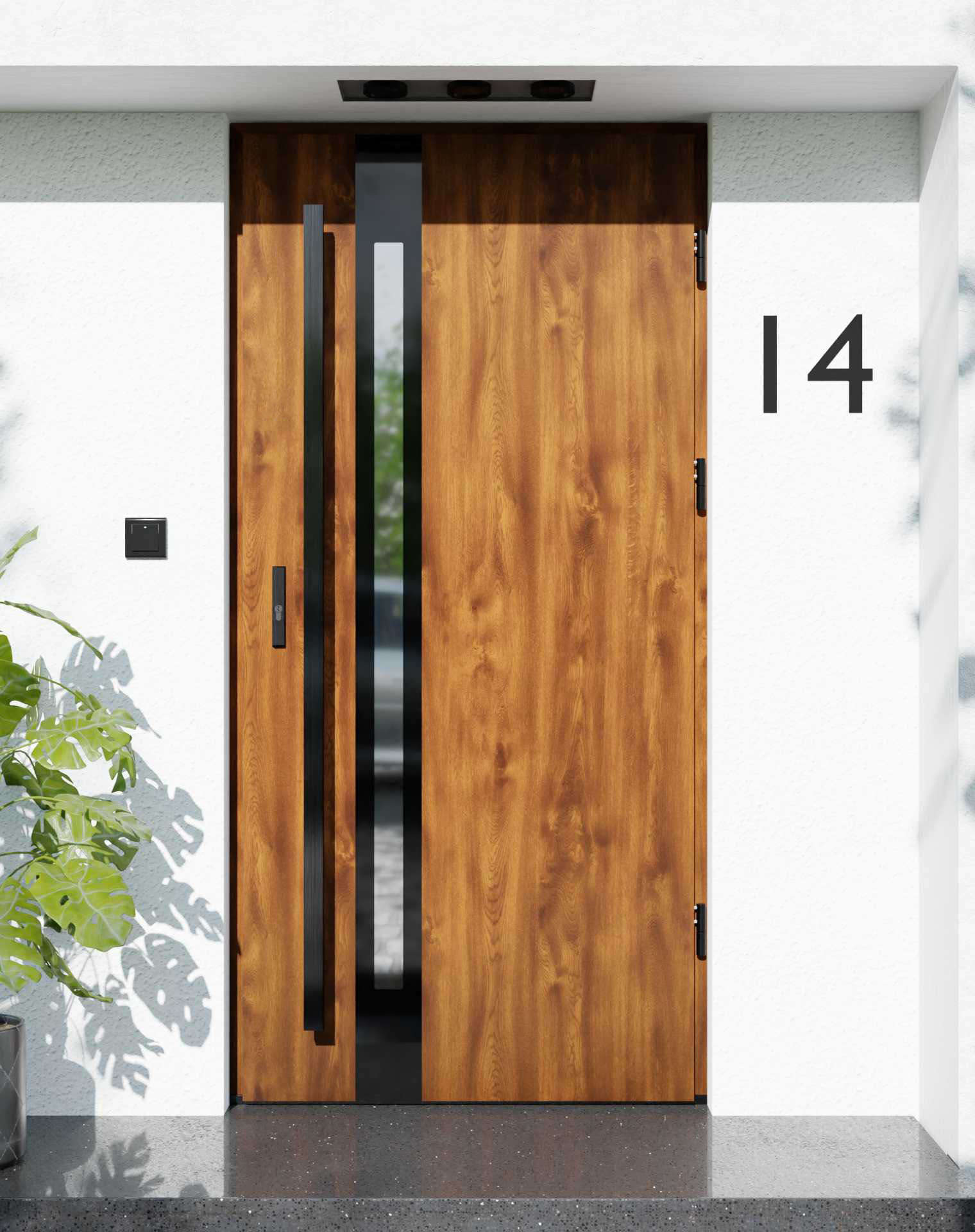 Drzwi zewnętrzne do domu z ościeżnicą drewnianą Otto 12B Noir Glass w systemie Wood extra