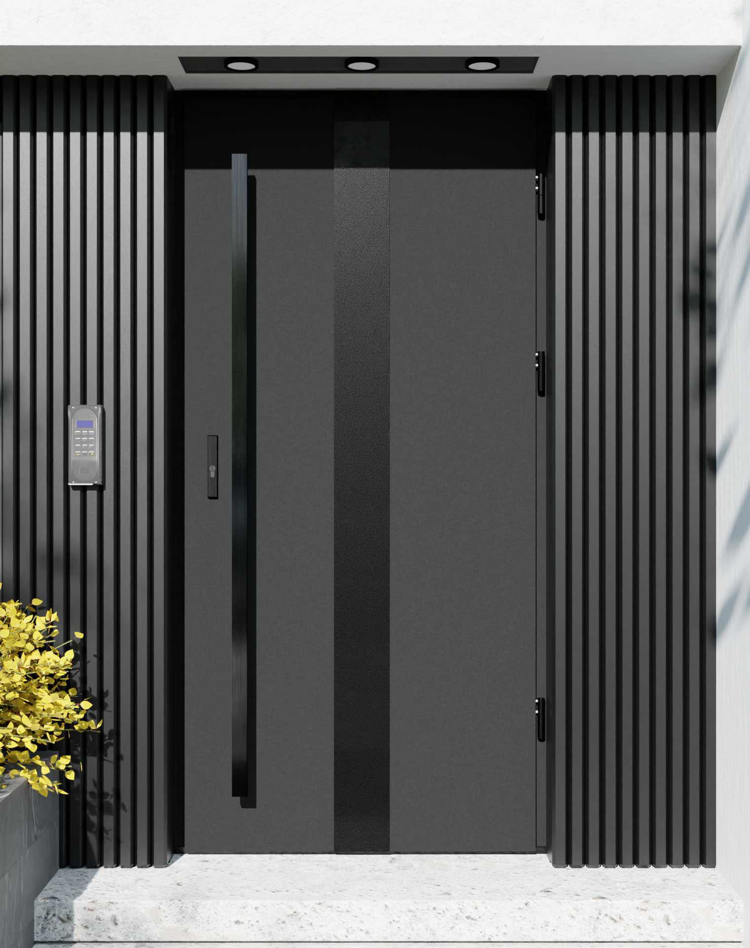 Drzwi zewnętrzne do domu z pochwytem i ościeżnicą drewnianą Otto 42 Noir Matt w systemie Wood extra