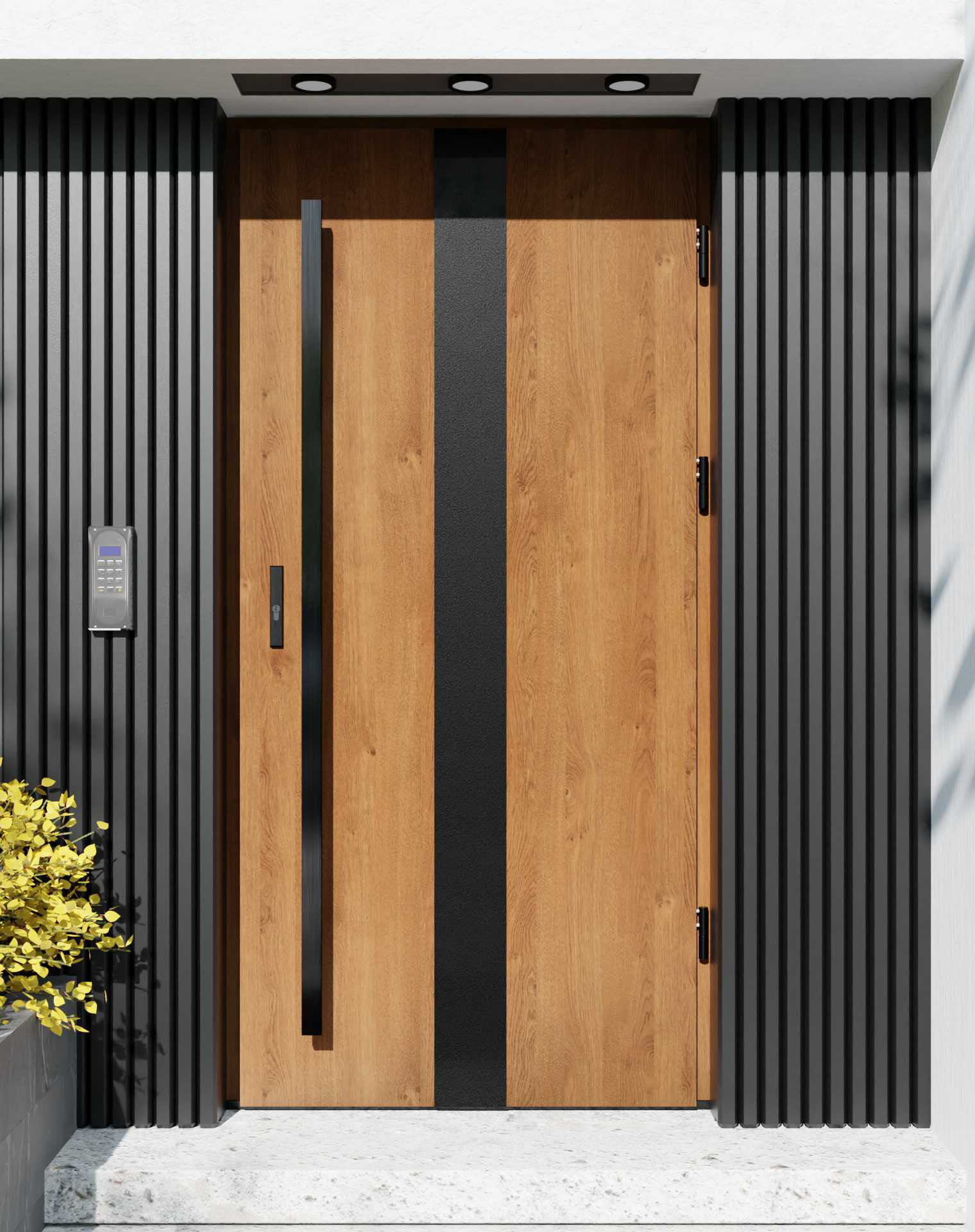 Drzwi zewnętrzne do domu z pochwytem i ościeżnicą drewnianą Otto 42 Noir Matt w systemie Wood extra