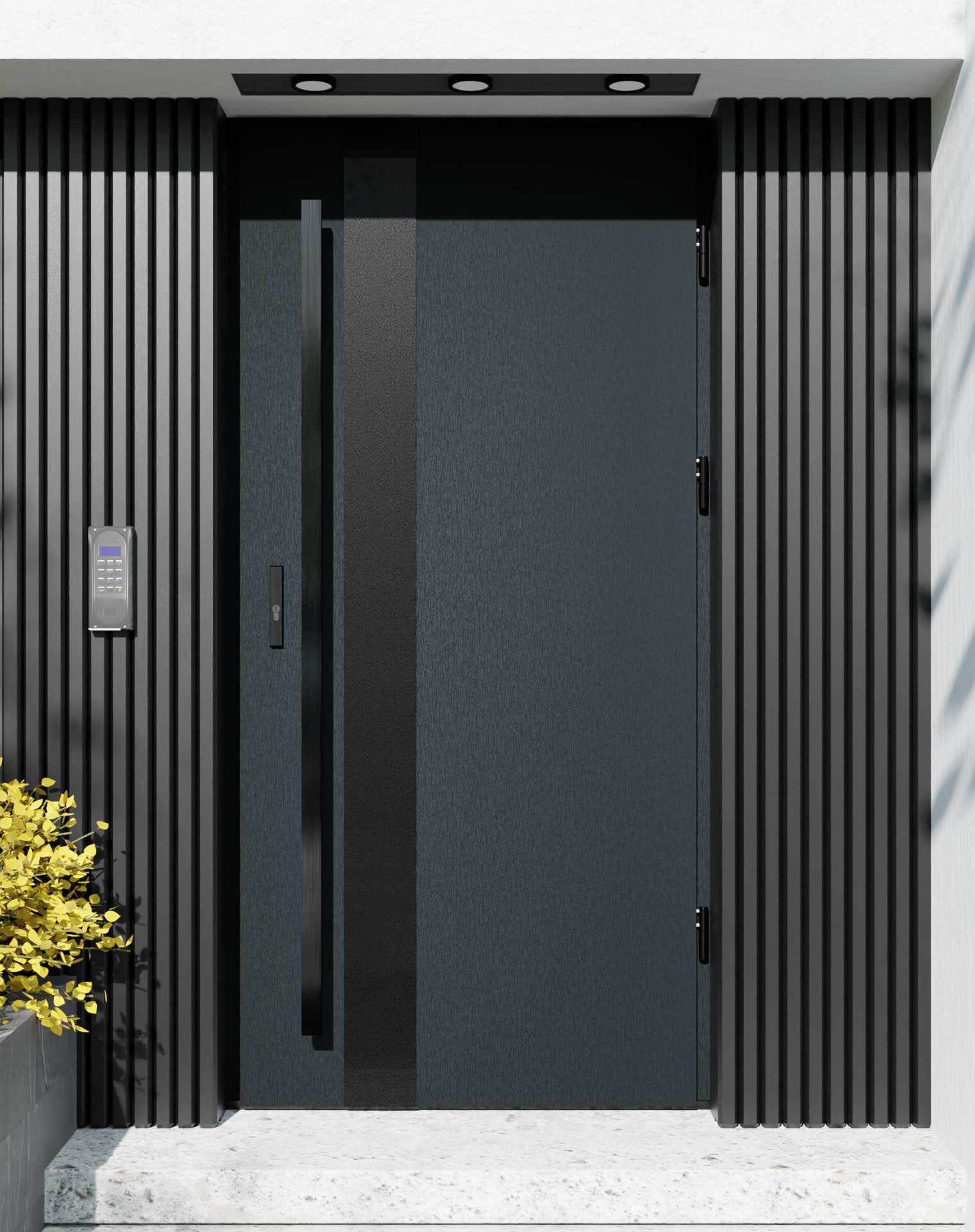 Drzwi zewnętrzne do domu z pochwytem i ościeżnicą drewnianą Otto 42B Noir Matt w systemie Wood extra