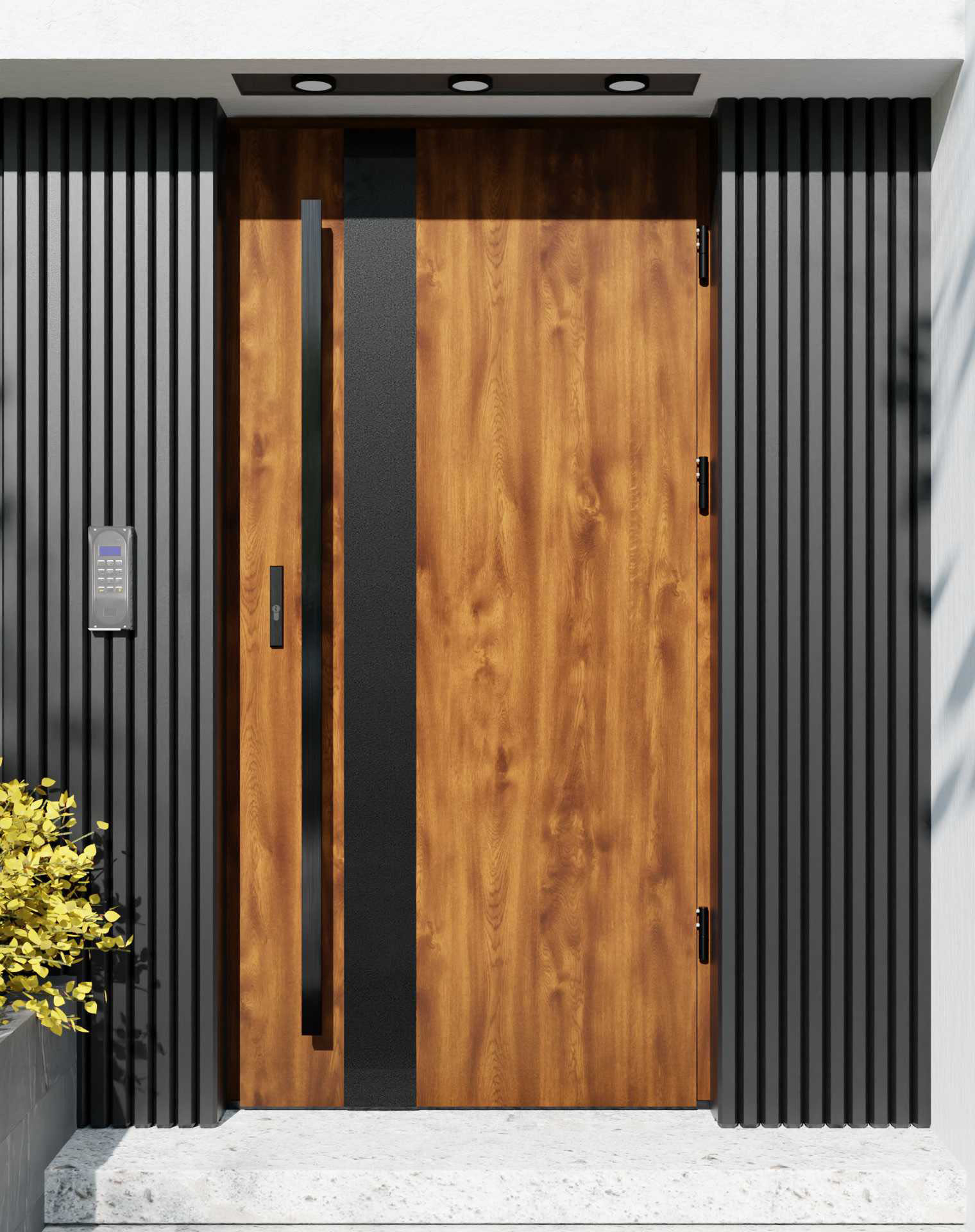 Drzwi zewnętrzne do domu z pochwytem i ościeżnicą drewnianą Otto 42B Noir Matt w systemie Wood extra